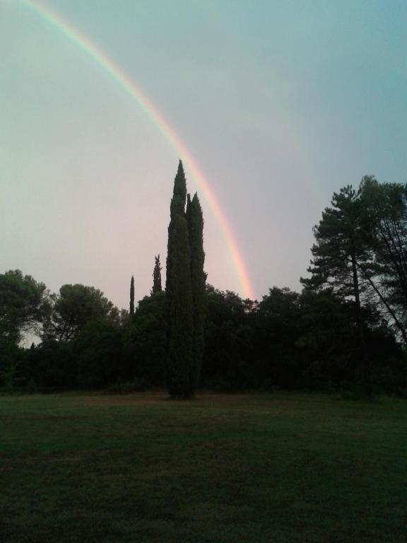 Domaine De Saint Clement Bed and Breakfast Prades-le-Lez Εξωτερικό φωτογραφία